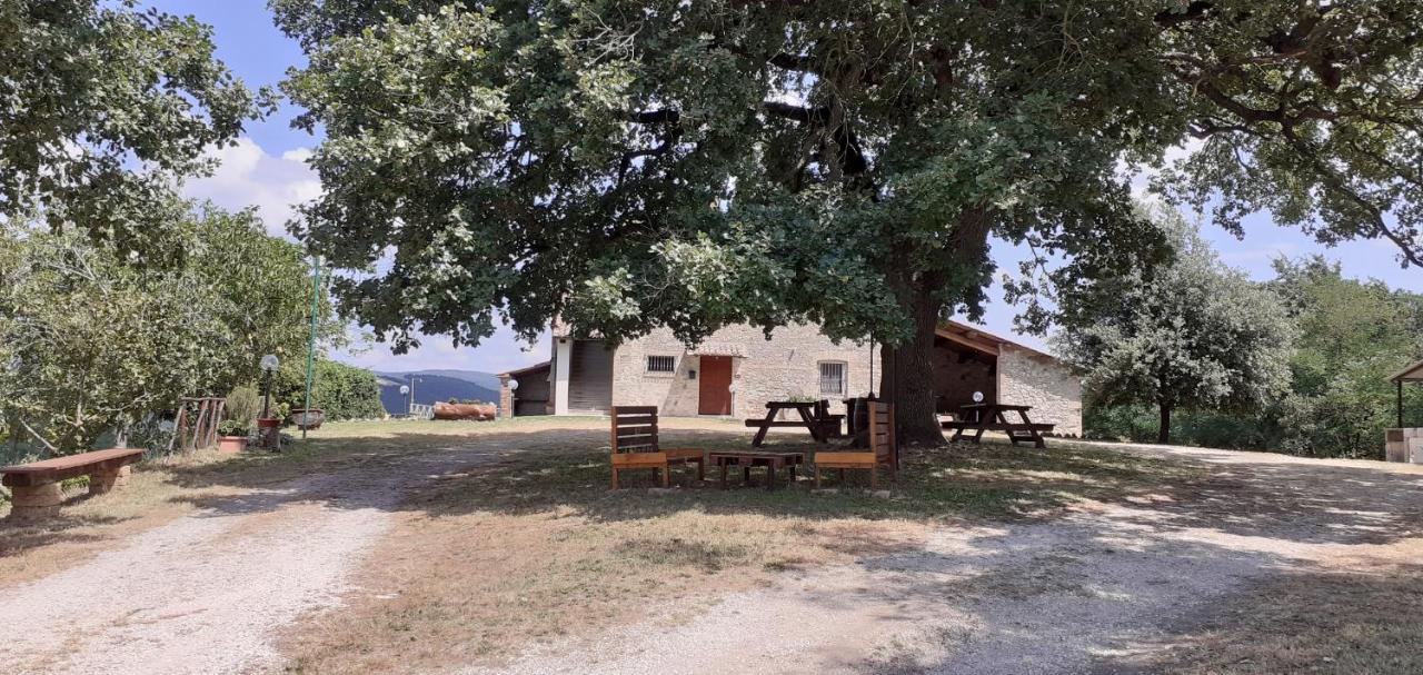 Casale Al Lago Con Piscina E Sauna Corbara  Экстерьер фото