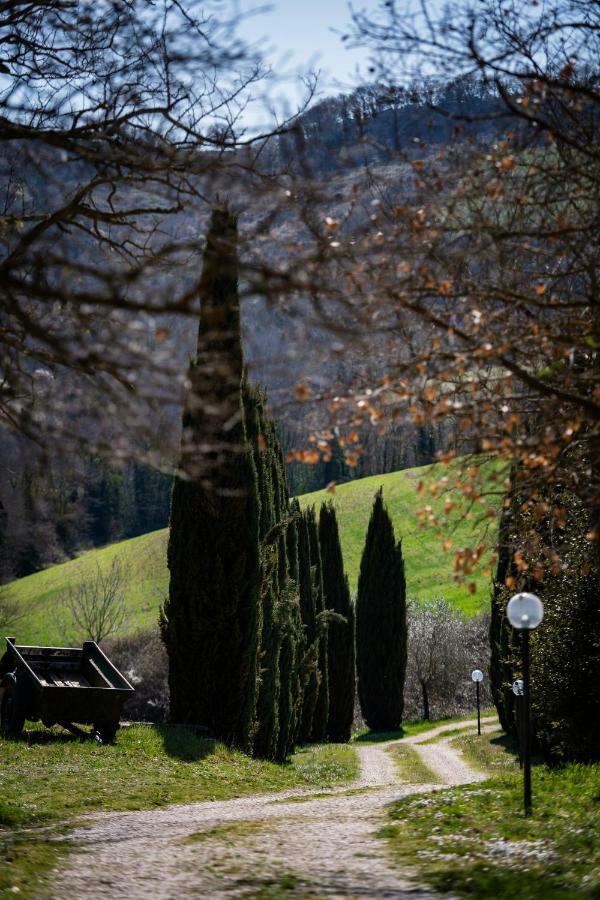 Casale Al Lago Con Piscina E Sauna Corbara  Экстерьер фото