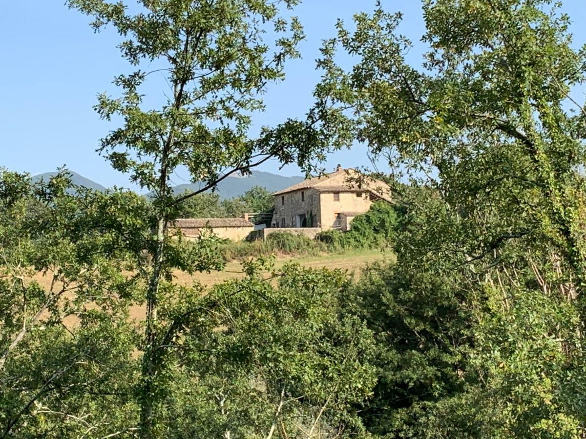 Casale Al Lago Con Piscina E Sauna Corbara  Экстерьер фото