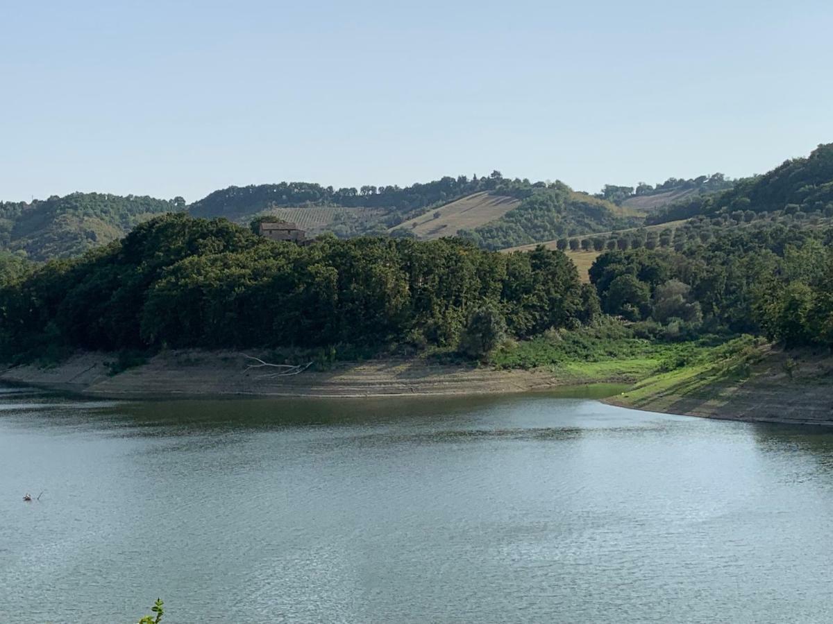 Casale Al Lago Con Piscina E Sauna Corbara  Экстерьер фото