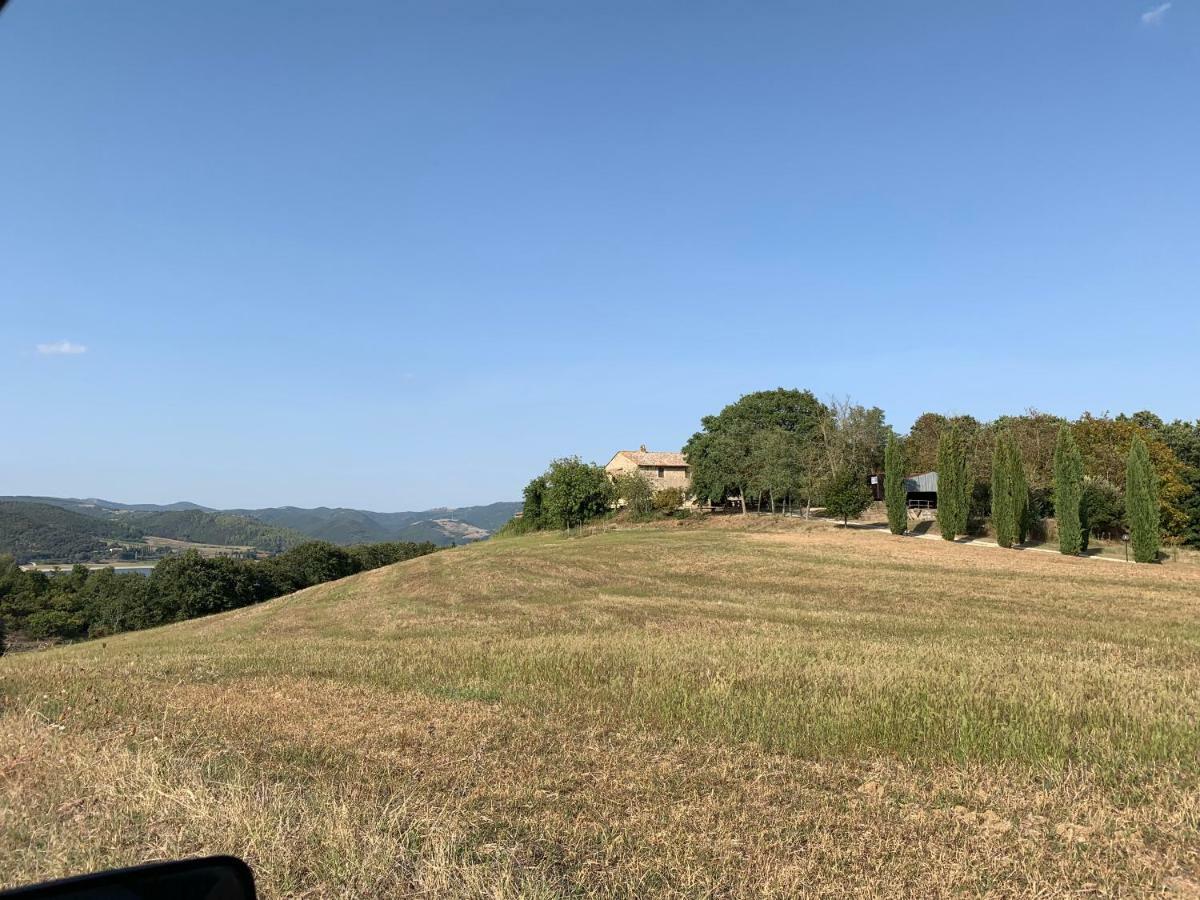 Casale Al Lago Con Piscina E Sauna Corbara  Экстерьер фото