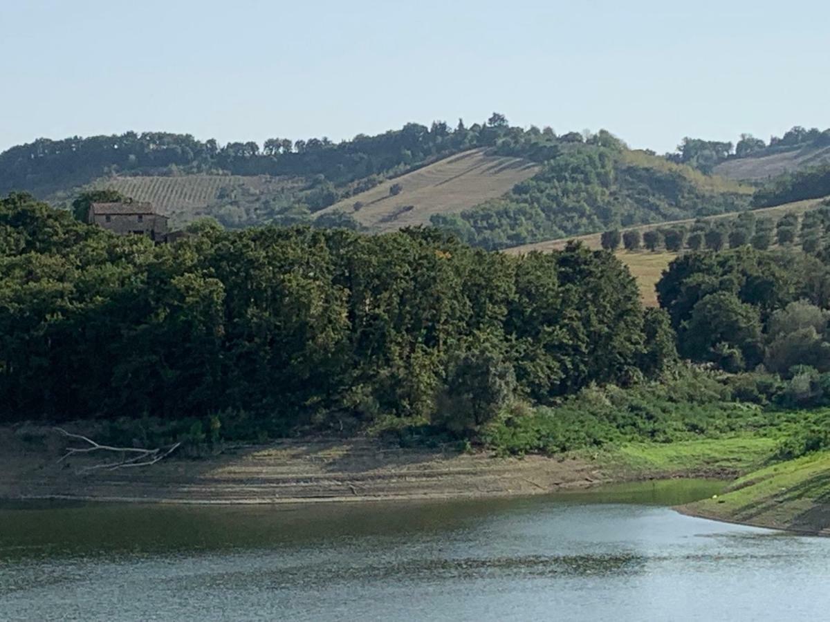 Casale Al Lago Con Piscina E Sauna Corbara  Экстерьер фото